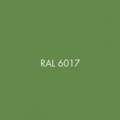RAL 6017