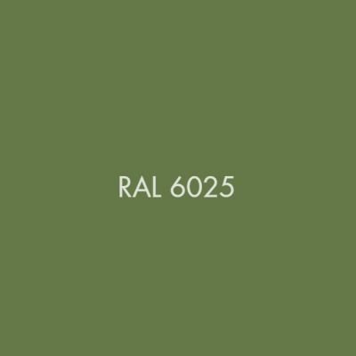 RAL 6025